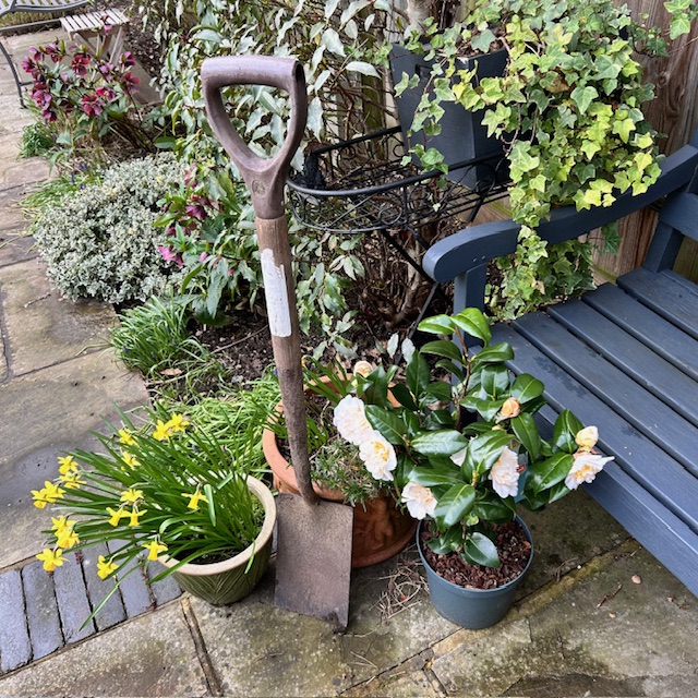 Gardening